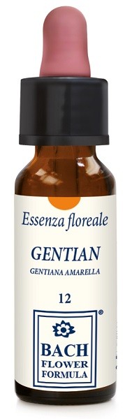 Erba Vita Group Gentian Original 10 Ml Gocce