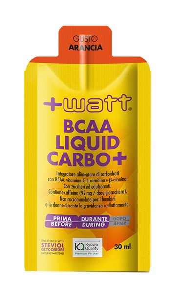 + Watt Bcaa Liquid Carbo+ Arancia