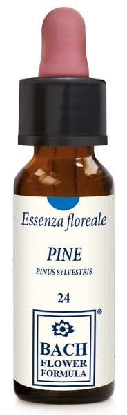 Erba Vita Group Pine Original Gocce