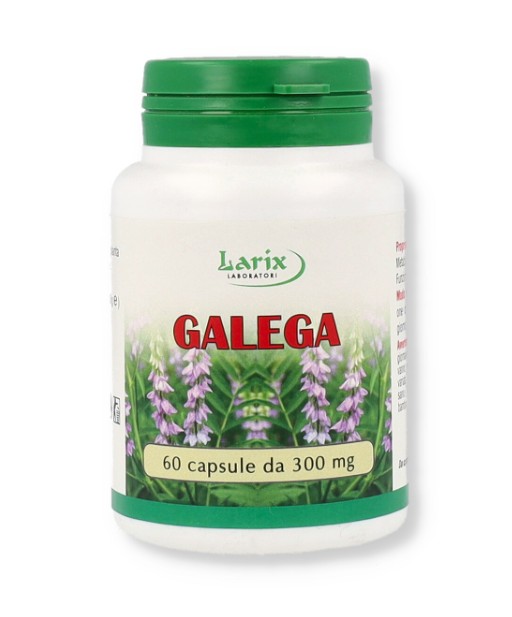 Larix Laboratori Galega 60 Capsule