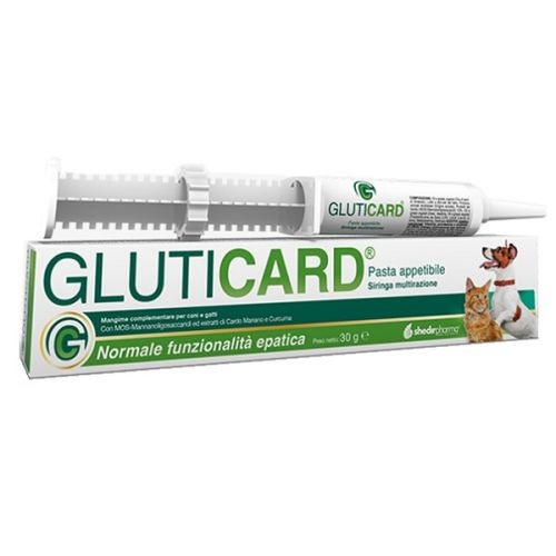 Shedir Gluticard pasta siringa
