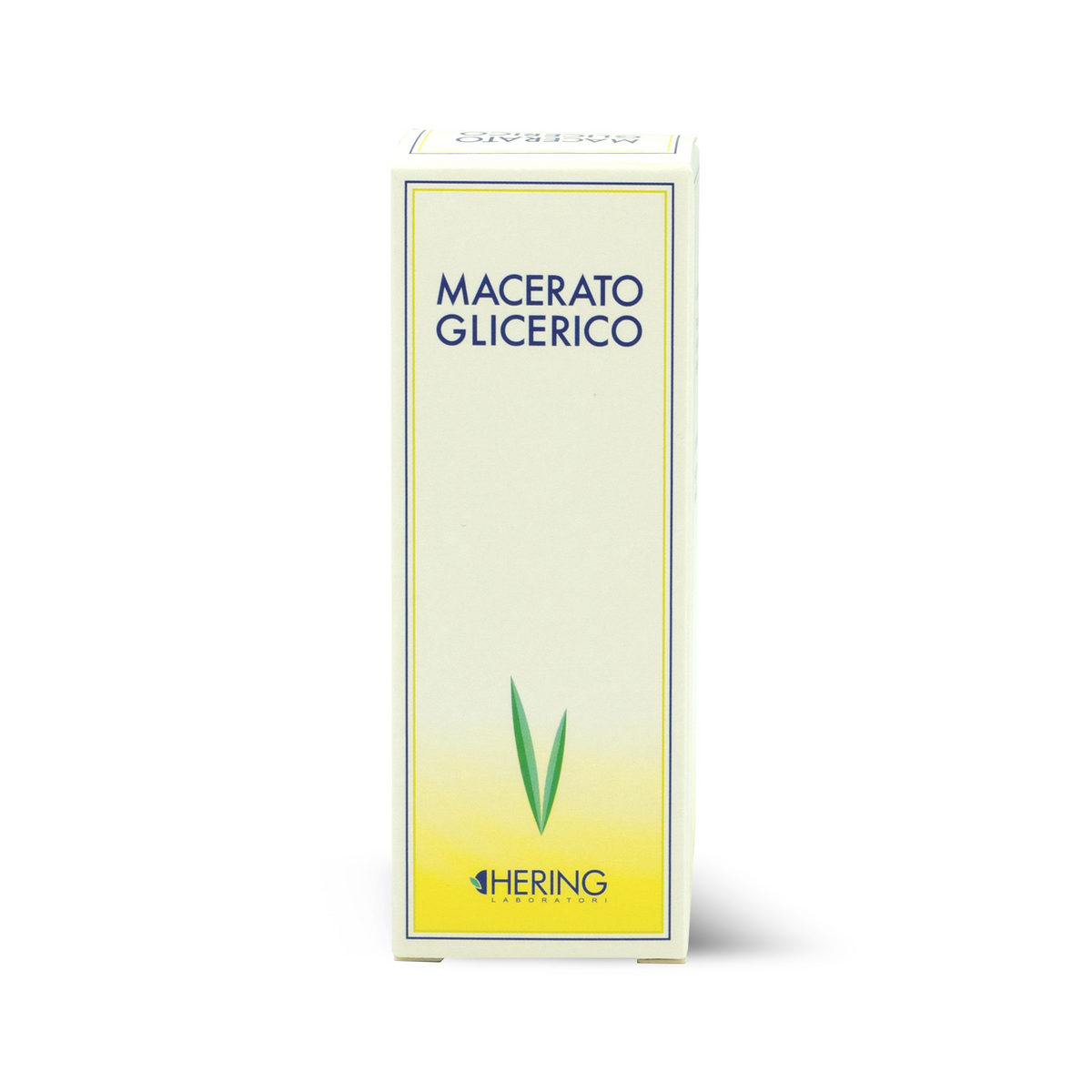 Hering Rosmarinus Officinalis Germogli