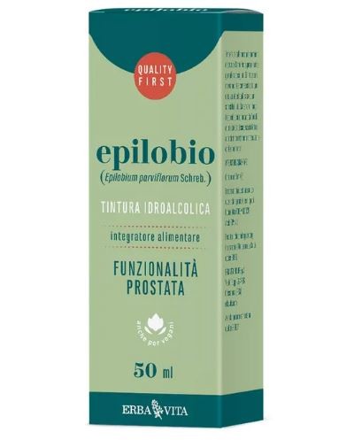 Erba Vita Italia Epilobio Pianta S