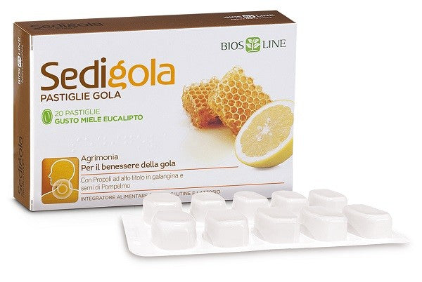Sedigola Miele Eucalipto 20 Pastiglie