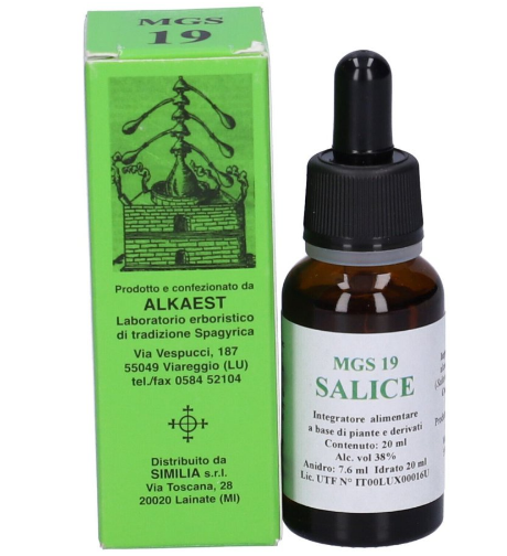 Alkaest Mgs19 Salice Mg Spg