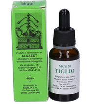 Alkaest Mgs20 Tiglio Mg Spg