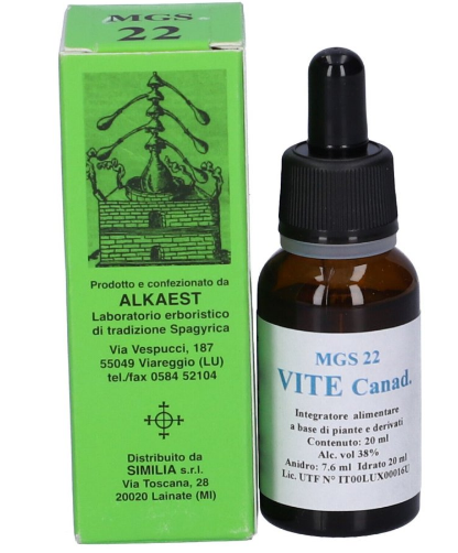 Alkaest Mgs22 Vite Canadese