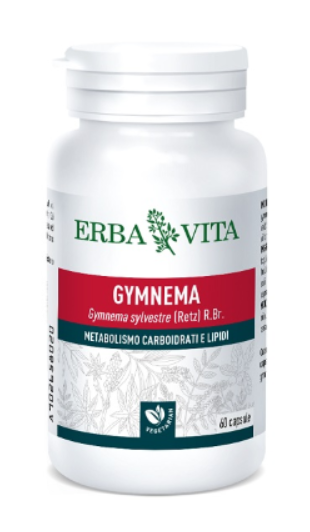 Erba Vita Gymnema Sylvestre