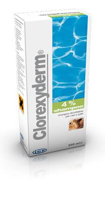 Clorexyderm Shampoo 4% 250 Ml