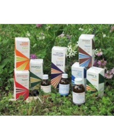 Raemil Propoli Comp 15ml