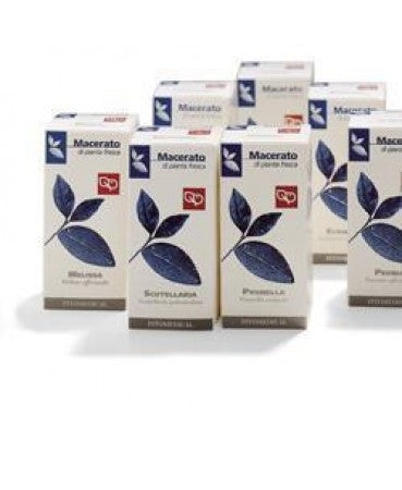 Rosmarino 50ml Tintura Madre