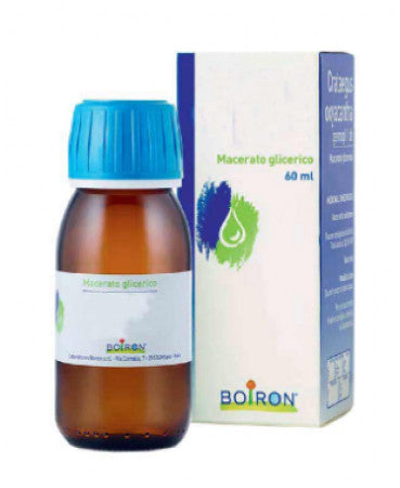 Boiron Vaccinium Vitis Idaea Macerato Glicerico 60ml