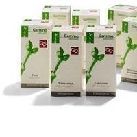 Fitomedical Magnolia Denudata 50ml Macerato Glicerico
