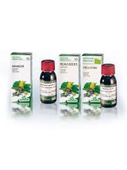Specchiasol Verga Oro 26 50ml Tintura Madre