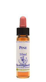 Natur Pine Essenza 10ml