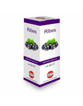 Kos Ribes Nigrum Macerato Glicerico 100ml Gocce