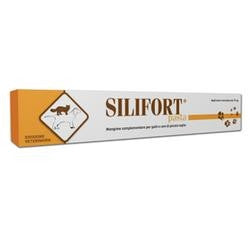 Silifort Pasta Orale Siringa 30g