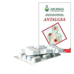 Antalgea 40 Capsule 6 Pezzi