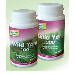 Wild Yam 300 20% 50 Capsule