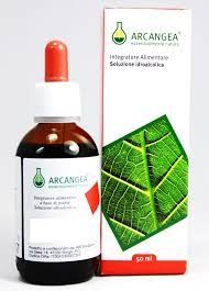 Arcangea Artemisia soluzione idroalcolica gocce 50ml