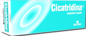 Farma derma Cicatridina unguento nasale con acido ialuronico 15 g
