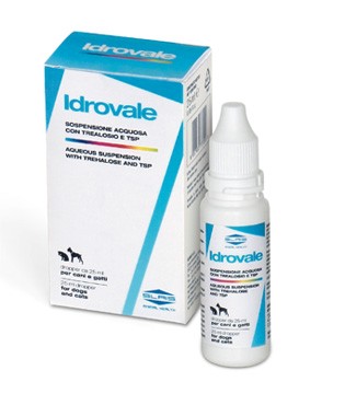 Slais Idrovale sospensione acquosa oculare 25 Ml