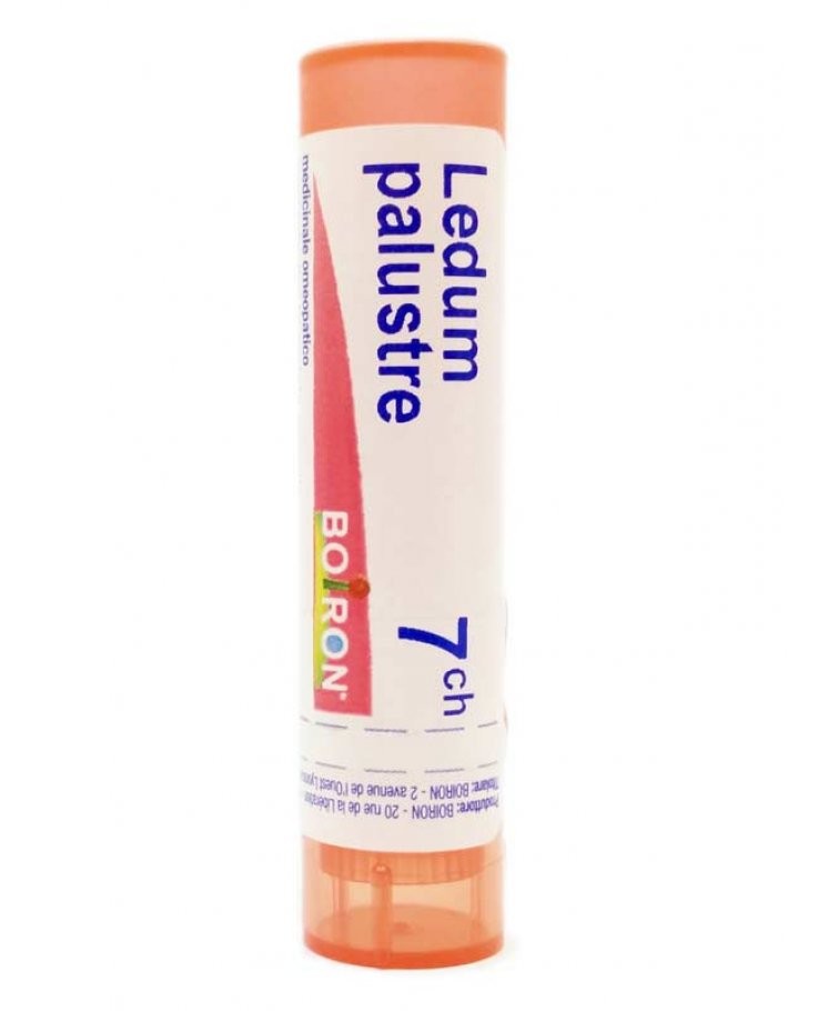 Boiron Ledum Palustre 7 Ch Granuli