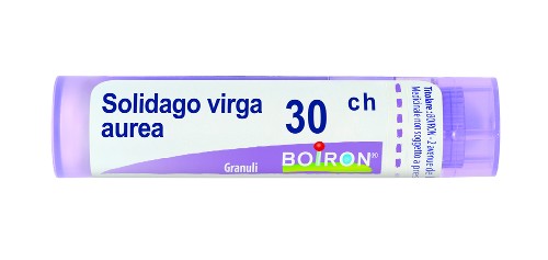 Boiron Solidago Virga Aurea 30ch Granuli