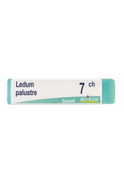 Boiron Ledum Palustre 7ch Globuli