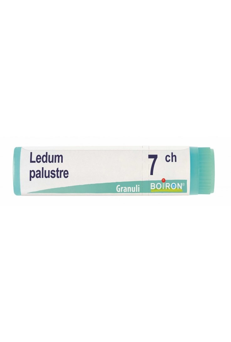 Boiron Ledum Palustre 7ch Globuli