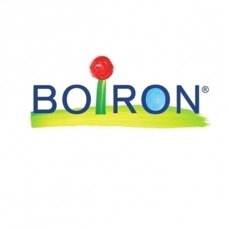 Boiron Cholesterinum 200k Globuli