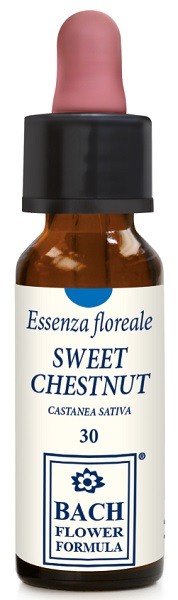 Erba Vita Italia Sweet Chestnut Original 10 Ml