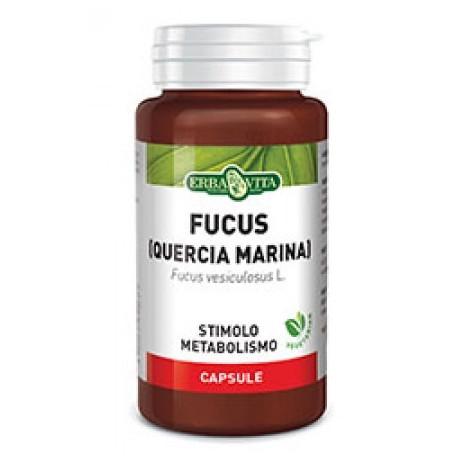 fucus