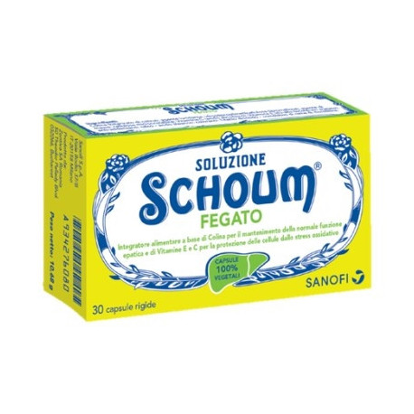 soluzione schoum