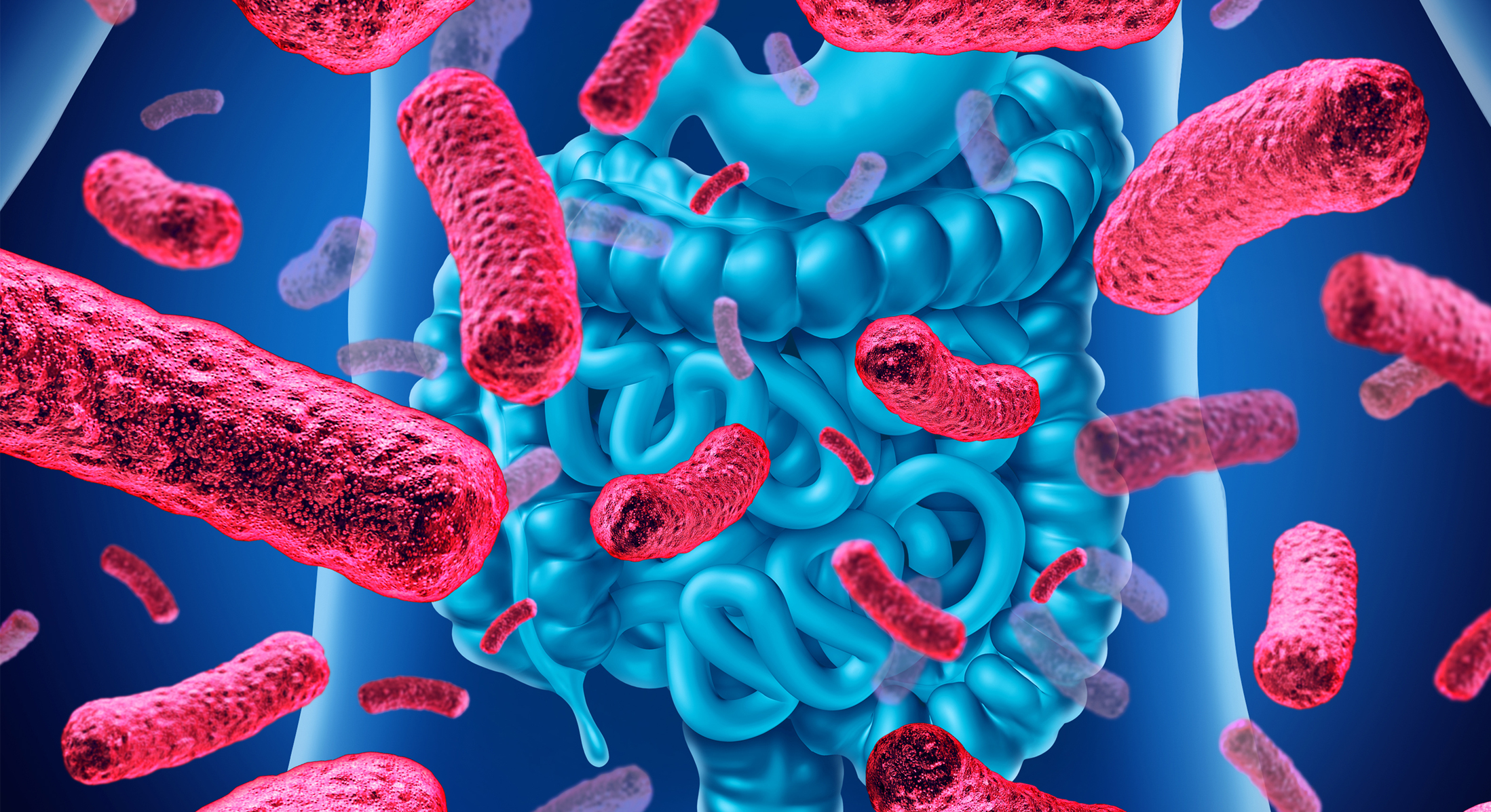 Il probiotico Bifidobacterium Bifidum: proprietà e consigli