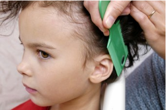Prevenire i pidocchi nei bambini