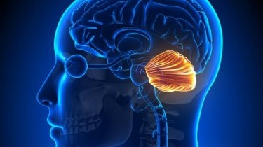 Atassia: quali i sintomi e le cure