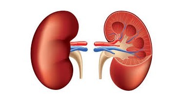 Dona un rene alla moglie nel loro anniversario