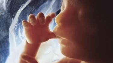 Fecondazione assistita: ecco i tempi di attesa