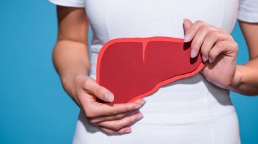 A cosa serve il fegato e come prendersene cura