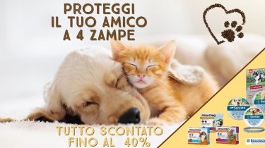 Antiparassitari cani e gatti fino al 40% di sconto
