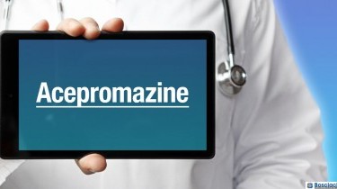 Acepromazina: evidenze e studi scientifici