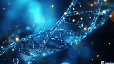 I polinucleotidi: cosa sono e a cosa servono? I polinucleotidi: cosa sono e a cosa servono?