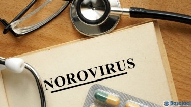 Norovirus: cos'è e quali sono i sintomi