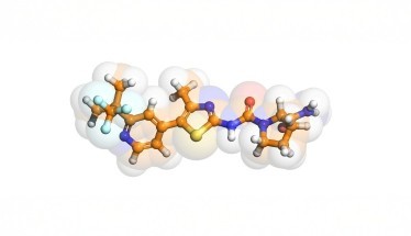 Alpelisib: cos'è, a cosa serve e benefici nel tumore al seno Alpelisib: cos'è, a cosa serve e benefici nel tumore al seno