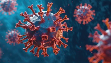 Hantavirus: Cos'è, come si trasmette e quali sono i sintomi principali