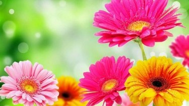 Cambio di stagione: ecco cosa prendere