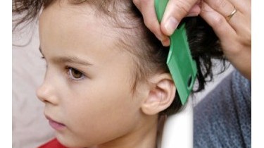 A scuola arriva l'invasione dei pidocchi