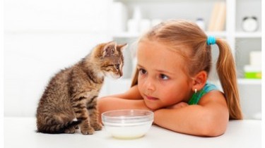 Via libera agli animali in ospedale