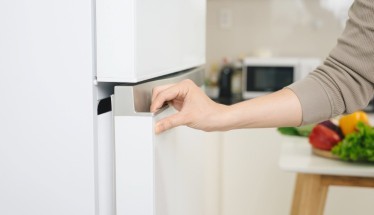 I Migliori Probiotici da Frigo in Farmacia: Guida alla Scelta